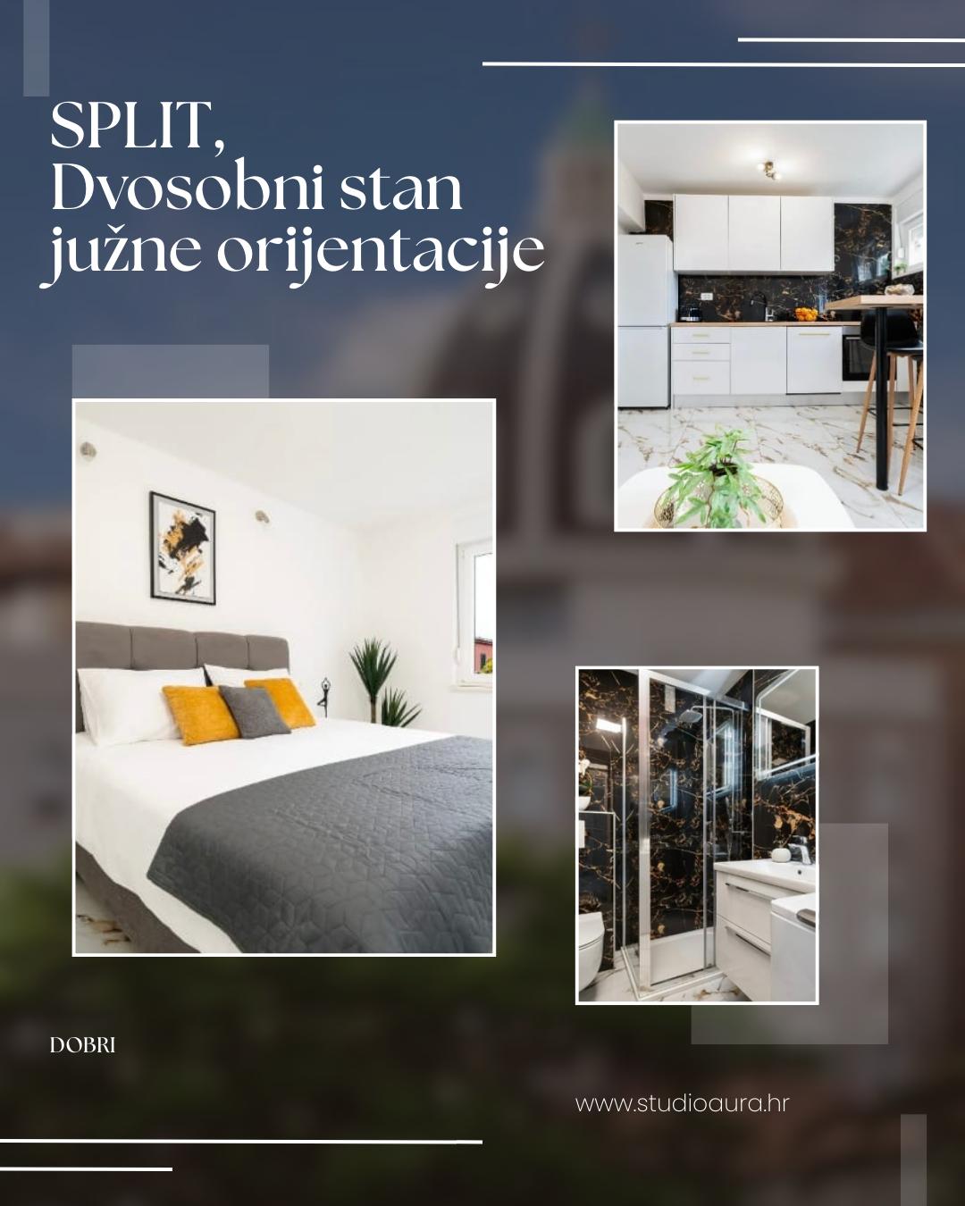 WhatsApp Image 2026-02-20 at 12.17.03