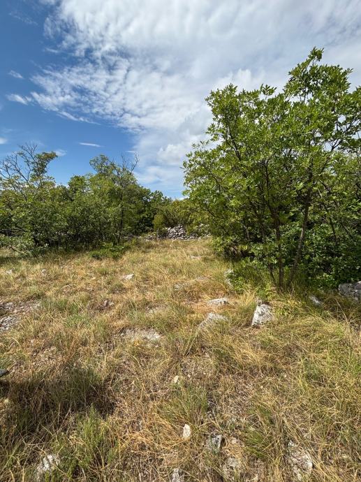 poljoprivredno-zemljiste-6909m2-ogorje-muc-slika-260907210